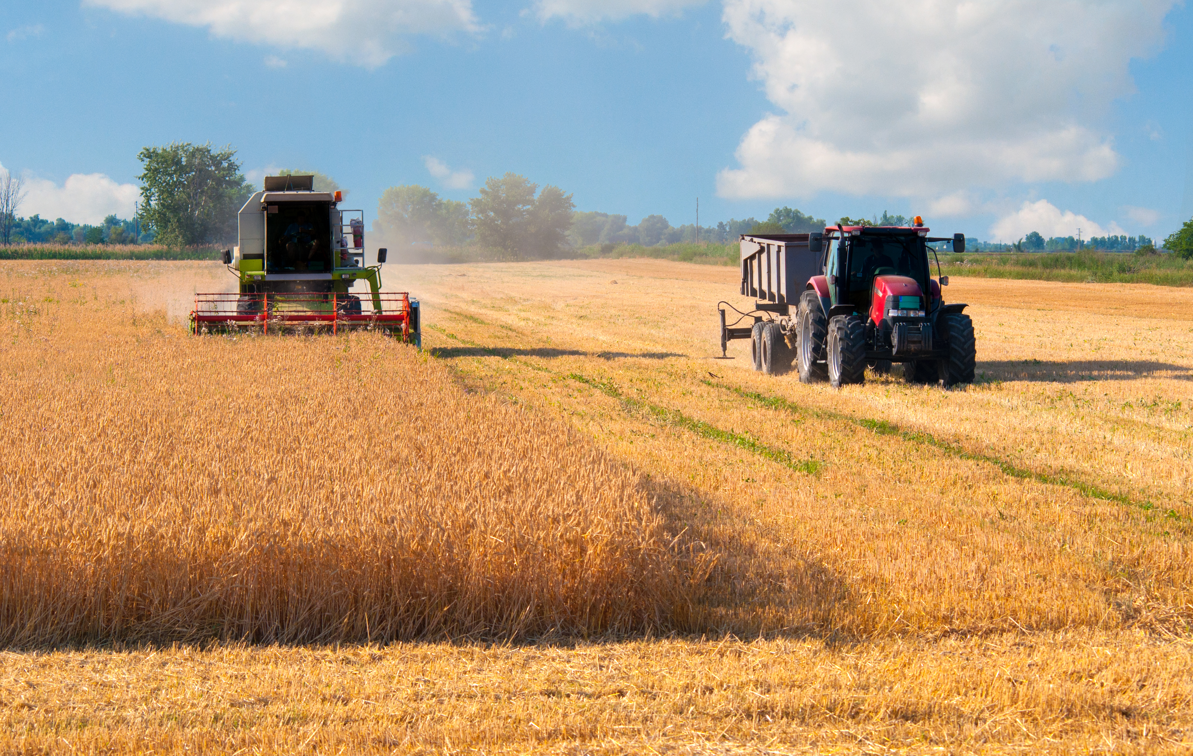Налог на урожай. Сбор пшеницы. Поле пшеницы и трактор. Сбор урожая пшеницы. Трактор сбор урожая.