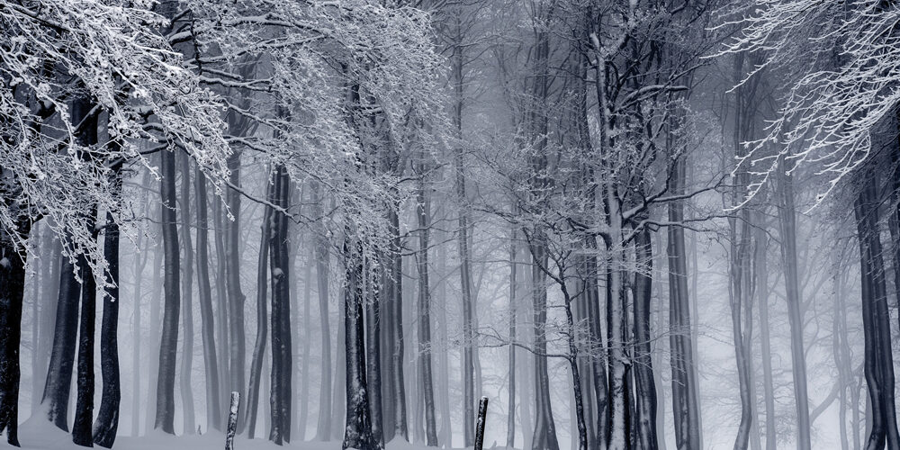 wintertime